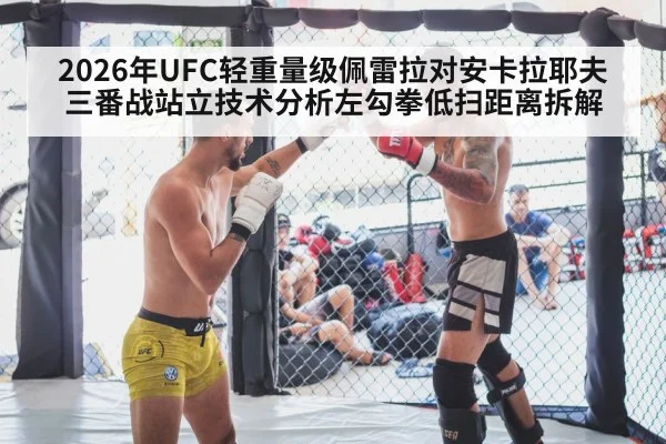2026年UFC轻重量级佩雷拉对安卡拉耶夫三番战站立技术分析左勾拳低扫距离拆解